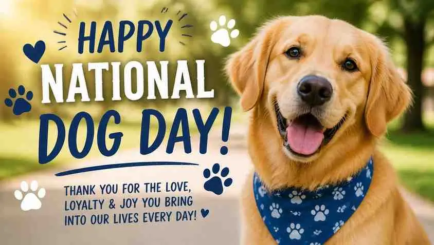 national dog day
